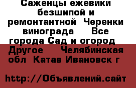 Саженцы ежевики безшипой и ремонтантной. Черенки винограда . - Все города Сад и огород » Другое   . Челябинская обл.,Катав-Ивановск г.